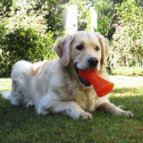 Dog with Bionic Bone Dog Toy