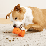 Dog digging treats out of Bionic Stuffer Dog Toy