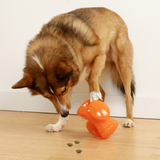 Dog digging treats out of Bionic Stuffer Dog Toy