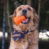 Dog holding Bionic Treat Shaker