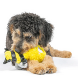 dog with Busy Bee Plush Dog Toy 