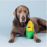 Dog with Aww Shucks Corn on the Cob Plush Dog Toy