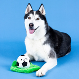 Dog with Just Kick It Plush Dog Toy