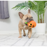 Tiny Tuff Pumpkin Treats Dog Toy 2pk