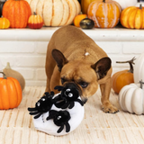 Dog with Mr Skulls with Spiders Plush Dog Toy