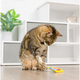 Cat playing with Sweetest Fish Plush Cat Toy